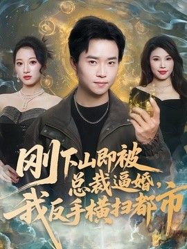 第七号算法